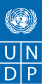 15. undp logo blue.4f32e17f 1